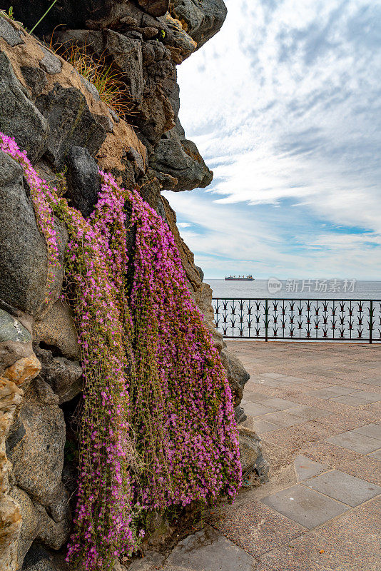 在Viña del Mar，智利的海景